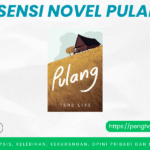 Novel Pulang