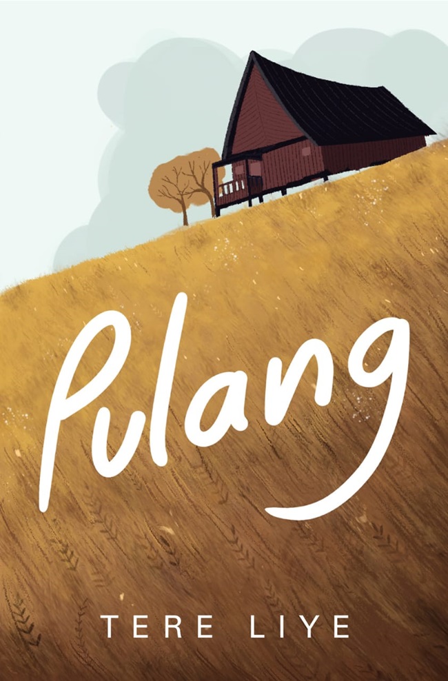 Novel Pulang